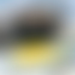 Stangenspargel mit Kartoffel aus dem Ofenmeister von Pampered Chef®