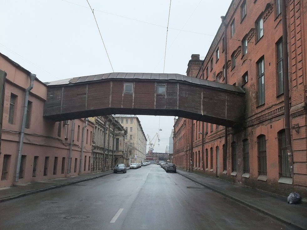 Кожевенная линия