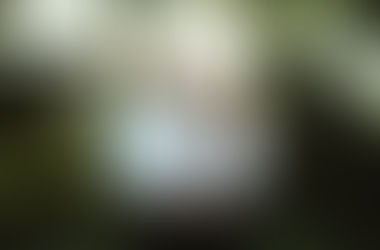 Our engagement pictures!