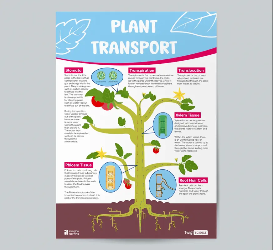 Imagine Learning science poster 