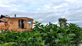 STEEL FRAME TINY HOUSE