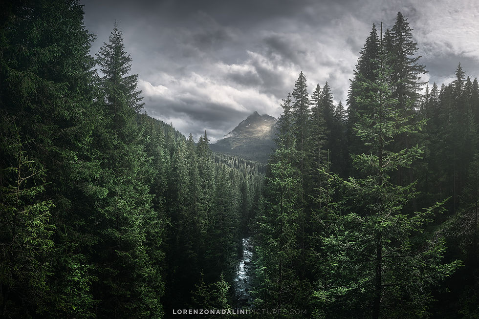 Workshop-fotografico-Passo-Rolle-Dolomiti-fotografia-landscape-Lorenzo-Nadalini