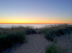 Dusk Path Through the Beachgrass