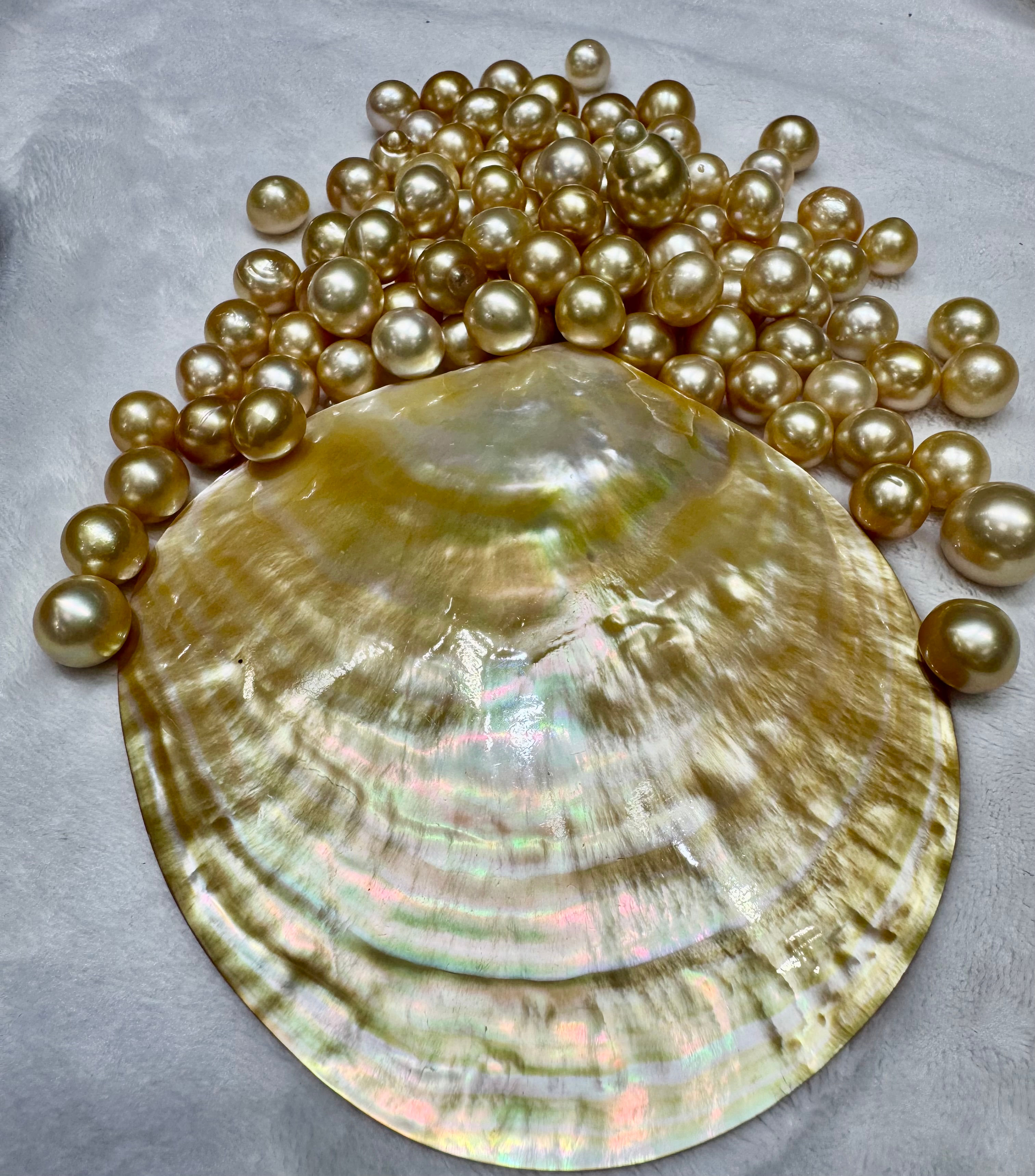 Loose Gold South Sea Pearls variety of sizes
