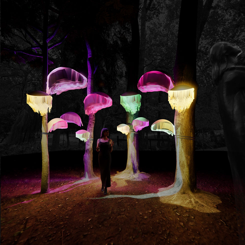 Design Shine Opening Reception