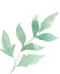 Garden Party 2027 Flower_15.png