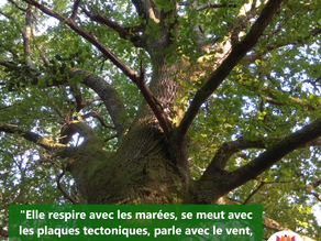 La Terre n'a pas besoin de nous.