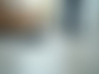 Floor Cleaning Services Guide: What You Need to Know