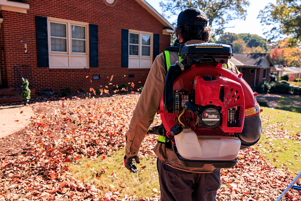 Thumbnail: RedMax EBZ7500 backpack blower being used to clear leaves