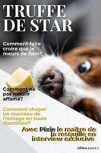 affiche Truffe de star