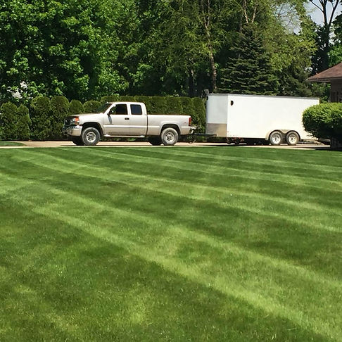 lawn.jpg
