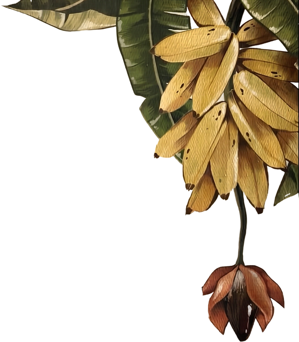 image 27.png