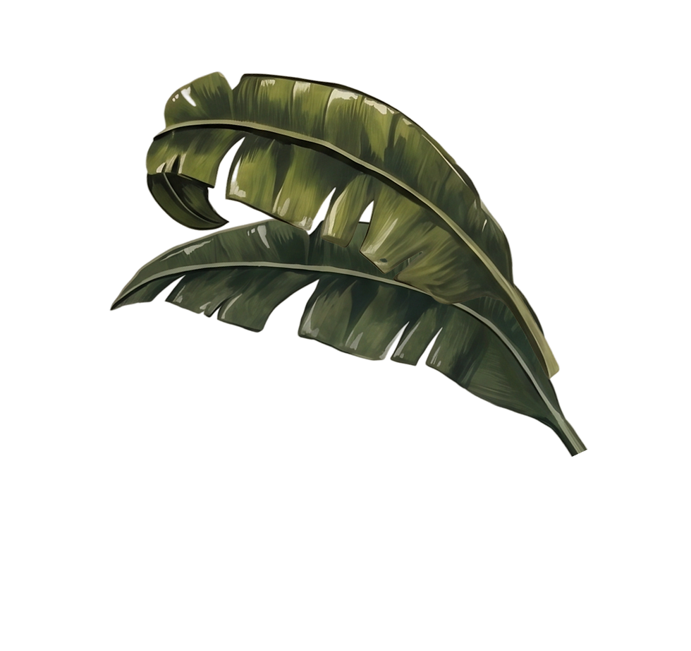h.png