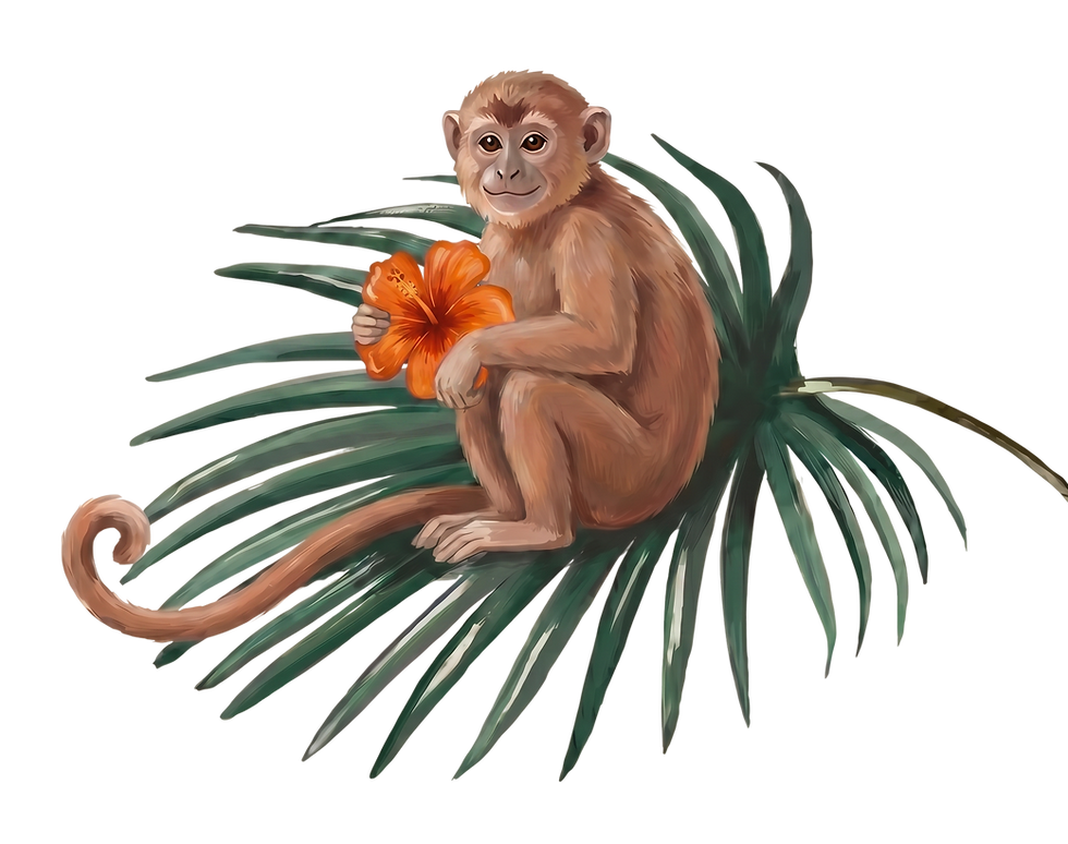 image 30.png