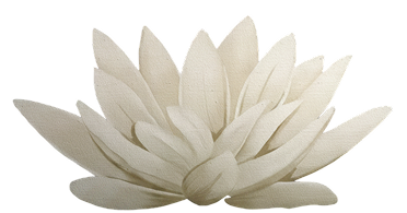 image 51.png