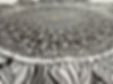 IMG_4703.jpeg