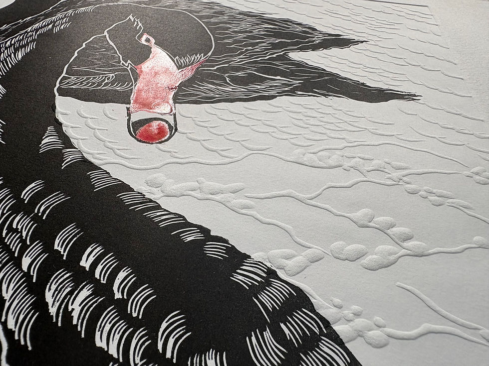 Thumbnail: Black Swans. Enduring bond #1