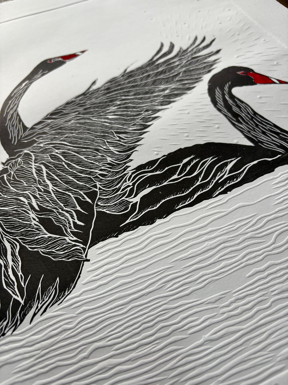Thumbnail: Black Swans. Enduring bond #2