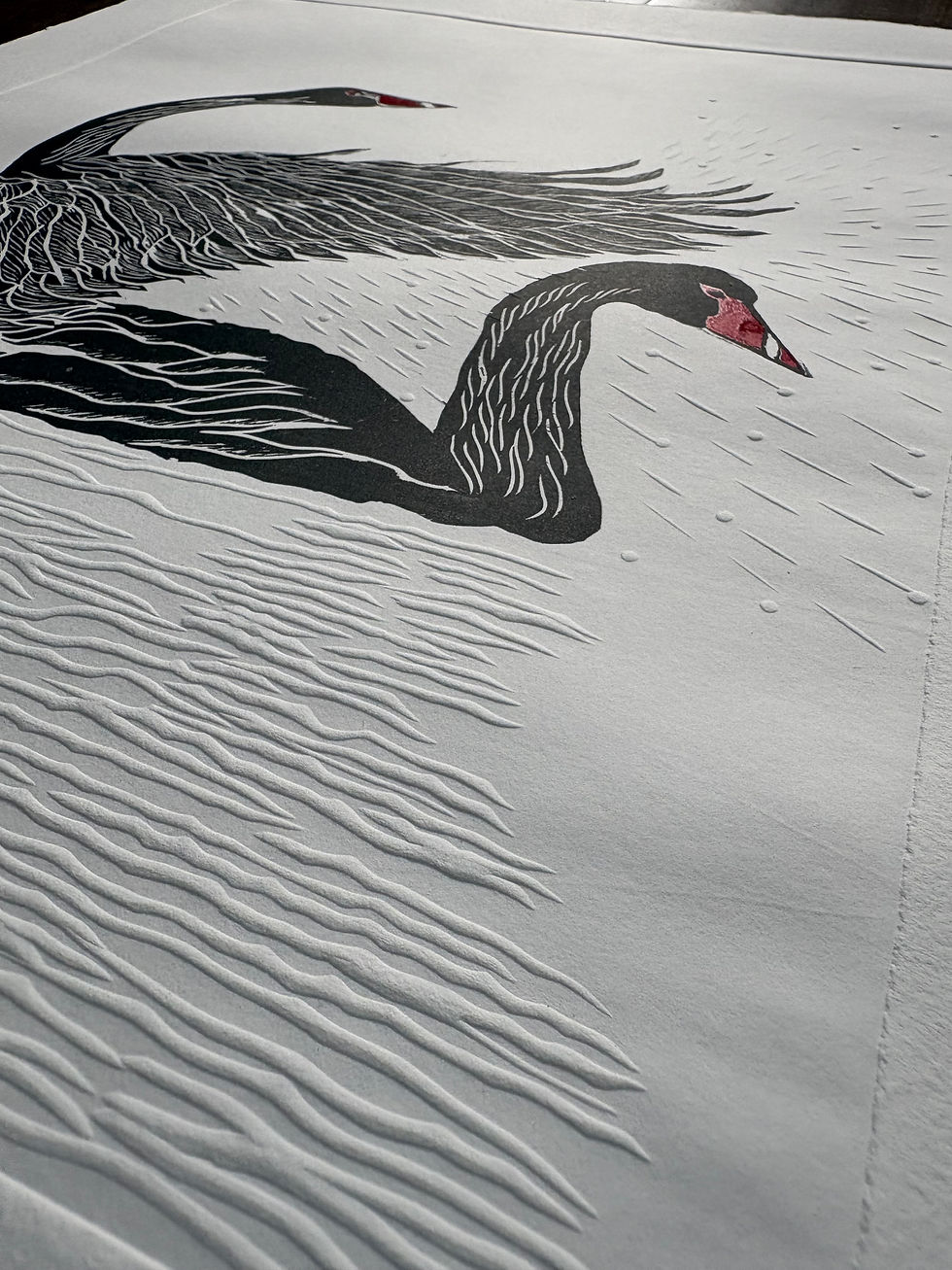 Thumbnail: Black Swans. Enduring bond #2