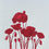 Thumbnail: Wild poppies #3
