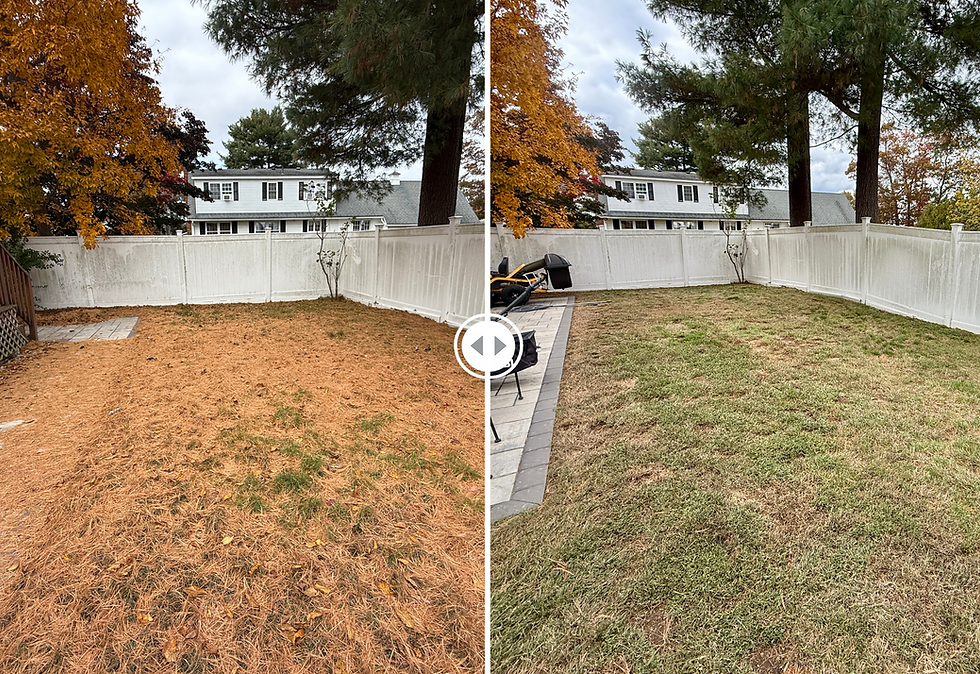 Fall Cleanup Job