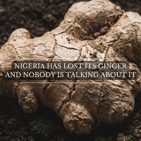 Nigeria Is Losing Its Ginger. And Nobody Is Talking About It - A Crisis