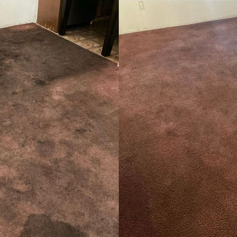 Carpet Cleaning