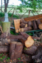 Garden_Space_Summer_2025_06_Edited_0029