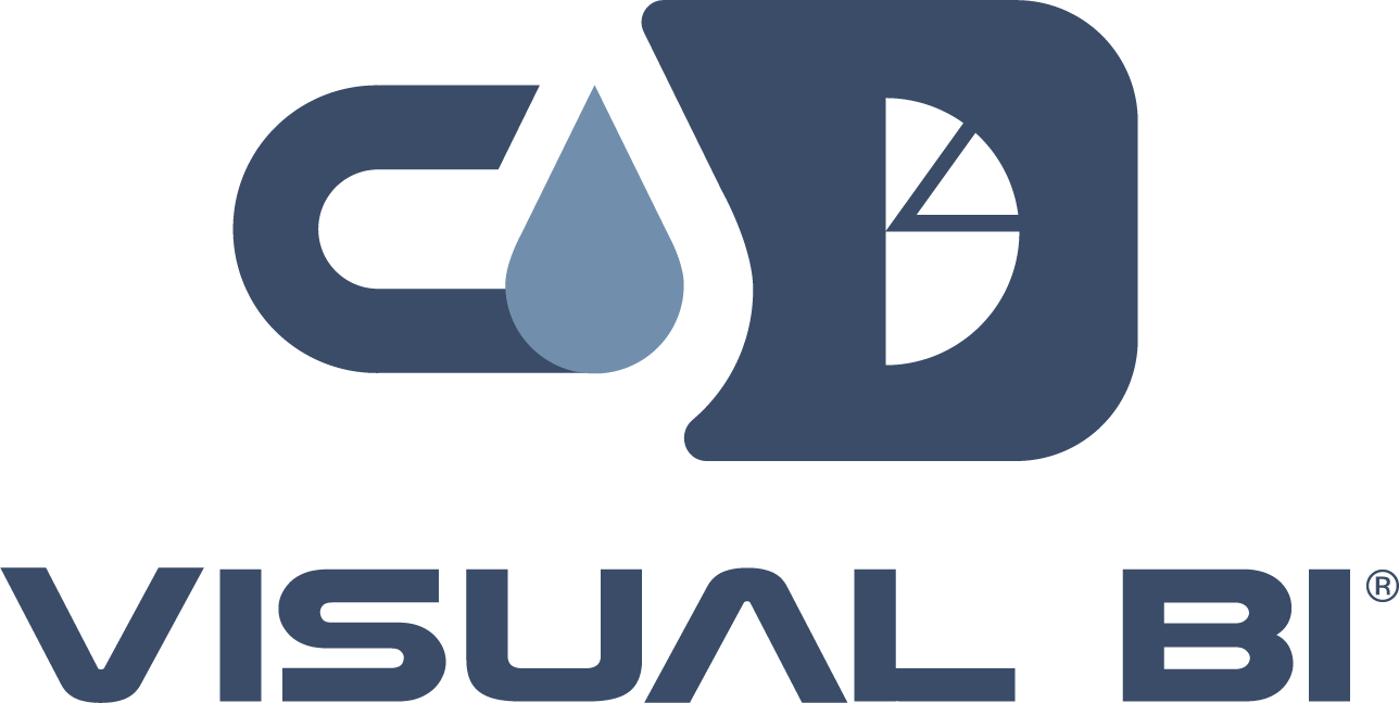 controlgas visual bi