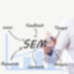 What is SEM?