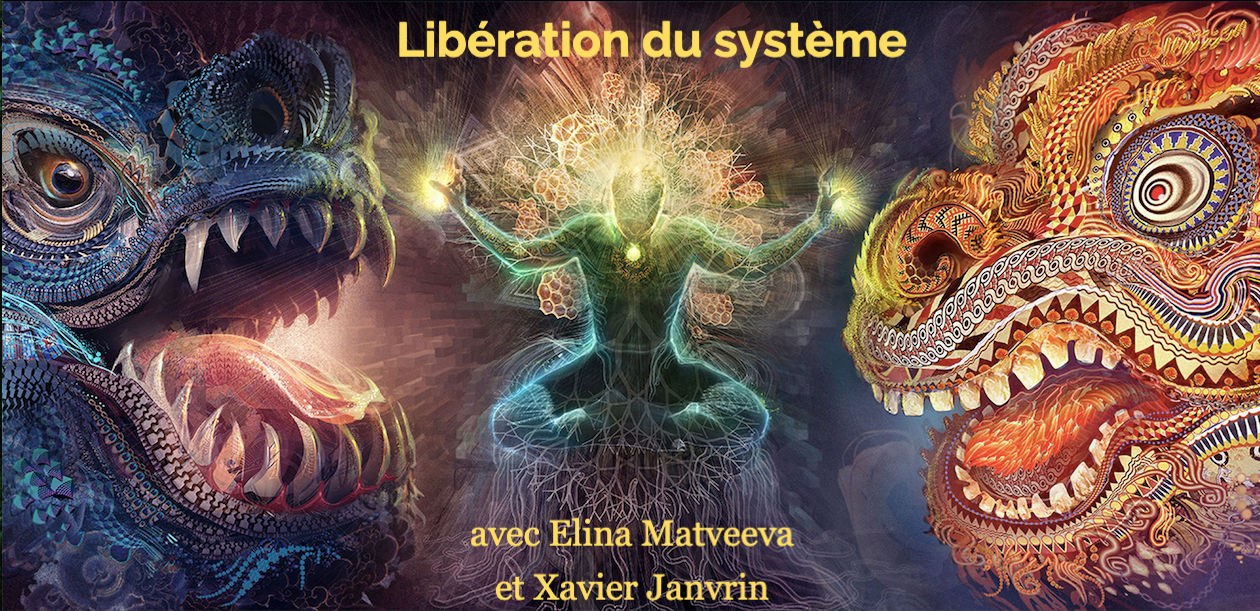 Libération du système : ☑️FORMATION FONDAMENTALE