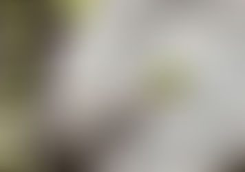 High concentrating PV firm to open its first facility in NC