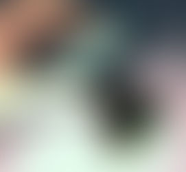 IMEC, Solvay Boast Record-Breaking Organic PV Module