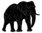 black_elephant-white-bg-removebg-preview.png