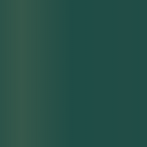 gradient (9).png