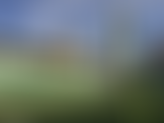 Goiás consegue liberação para mulheres e crianças na estreia do Goianão