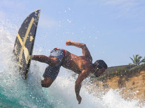 THE SURFER DIARIES