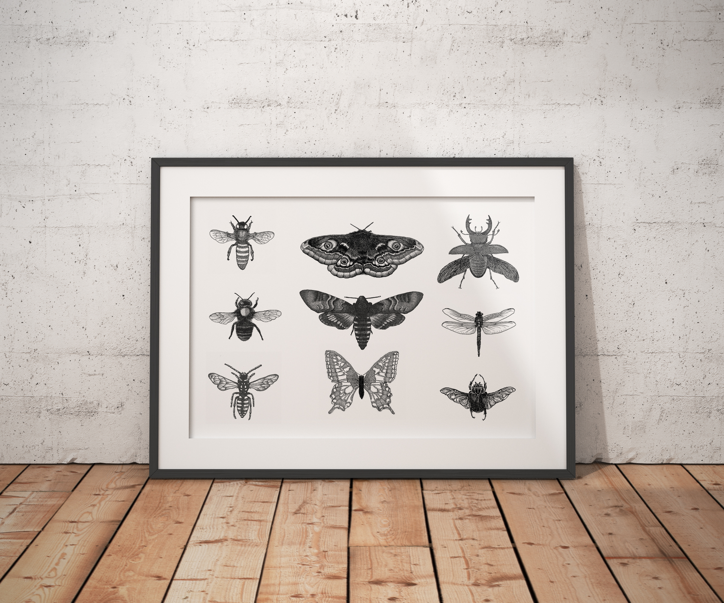 Insects Series One