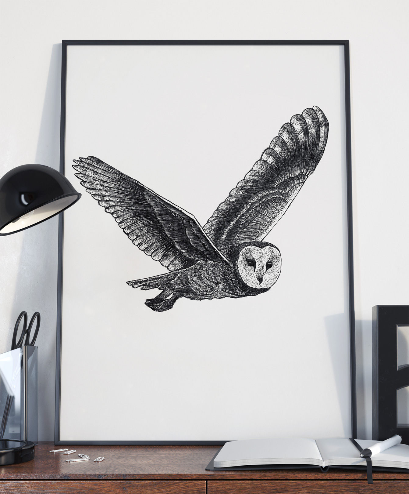 Owl