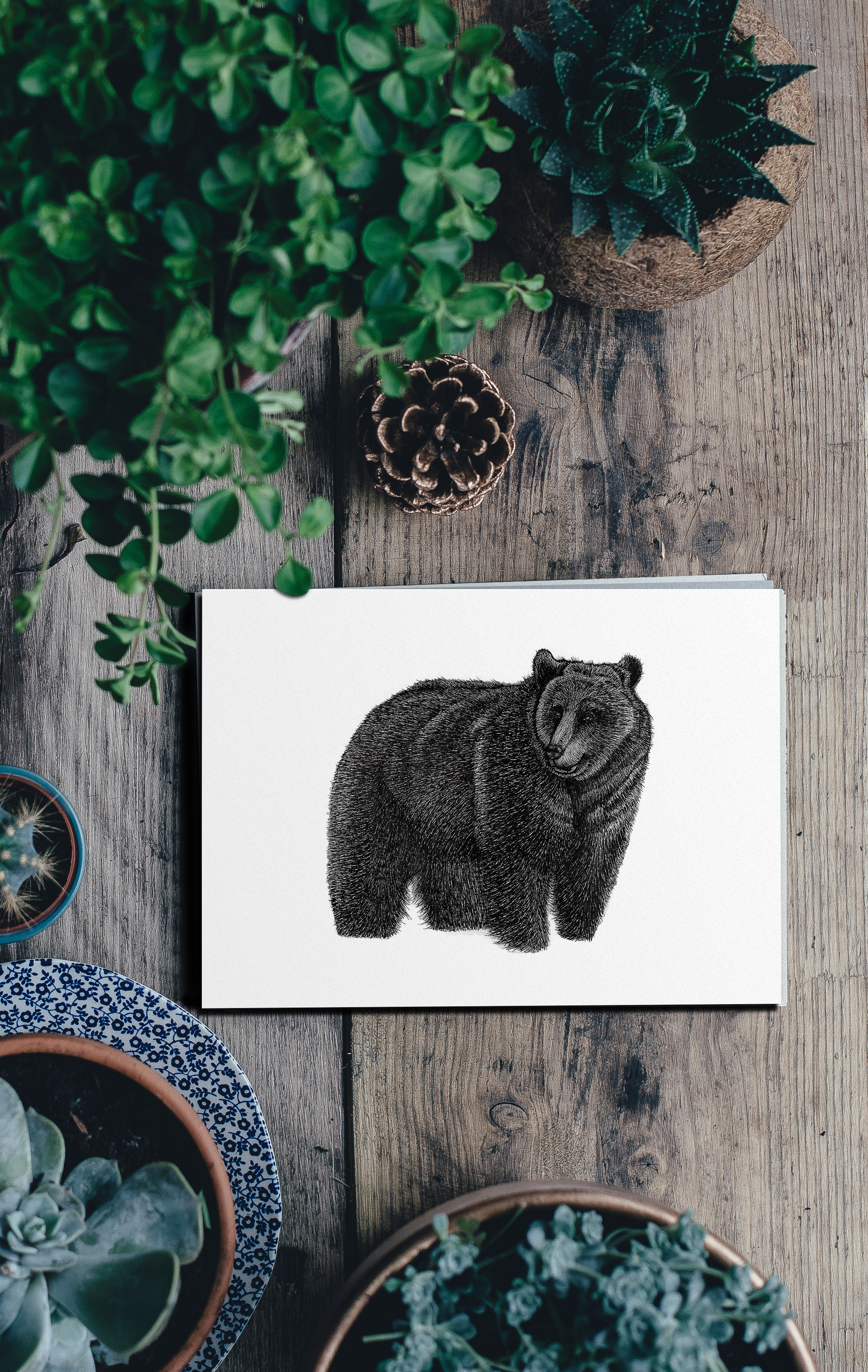 Grizzly Bear