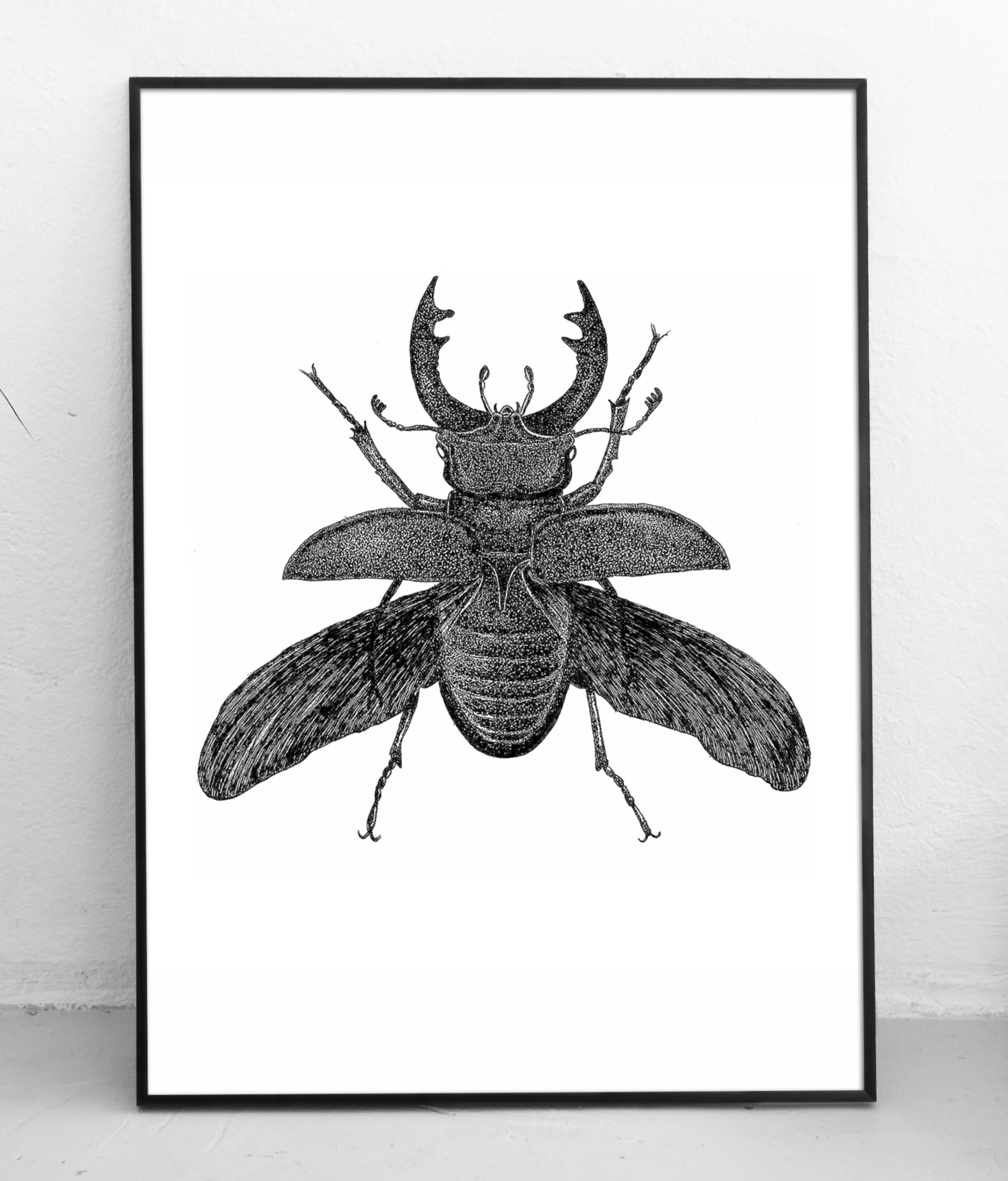 Stag Beetle