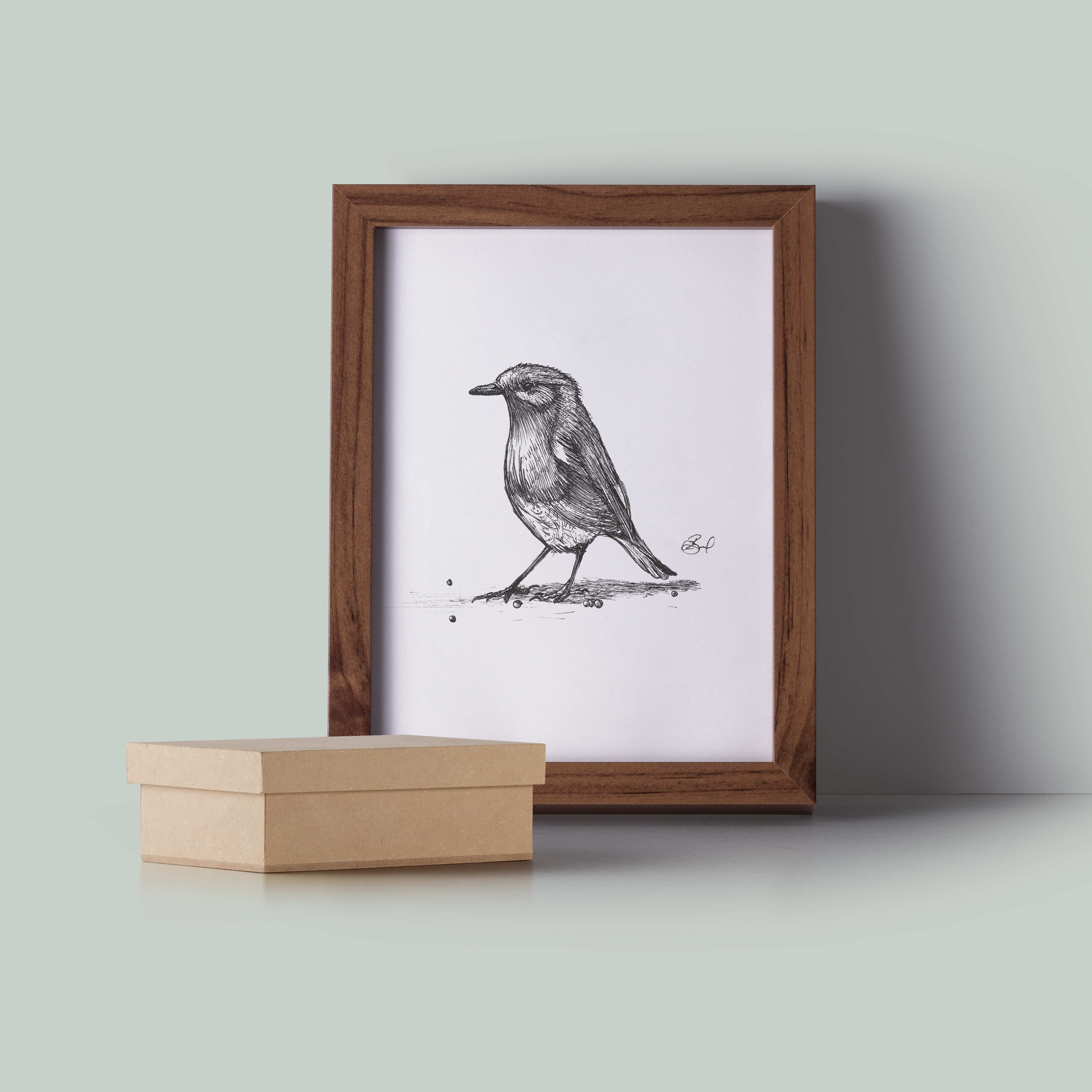 Robin