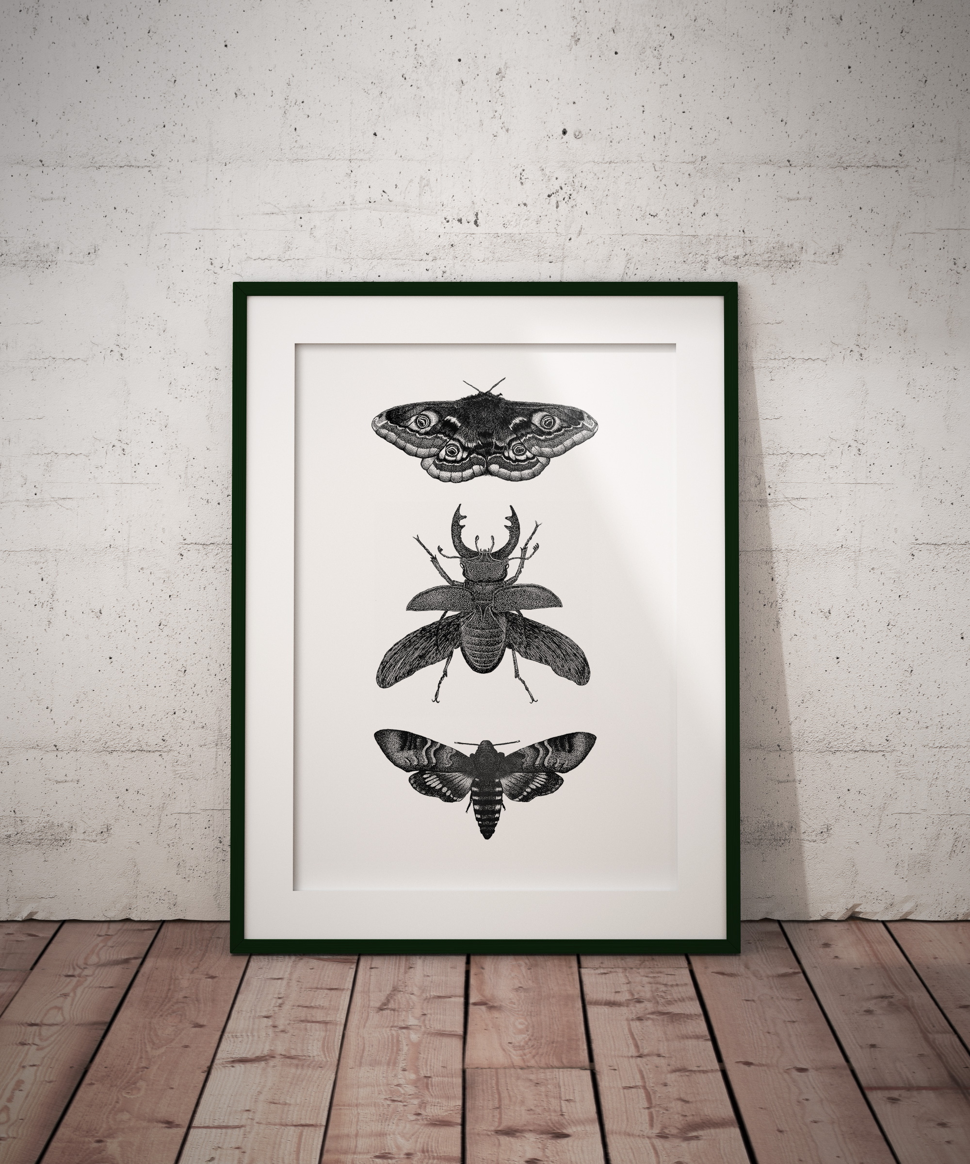 3 Insects