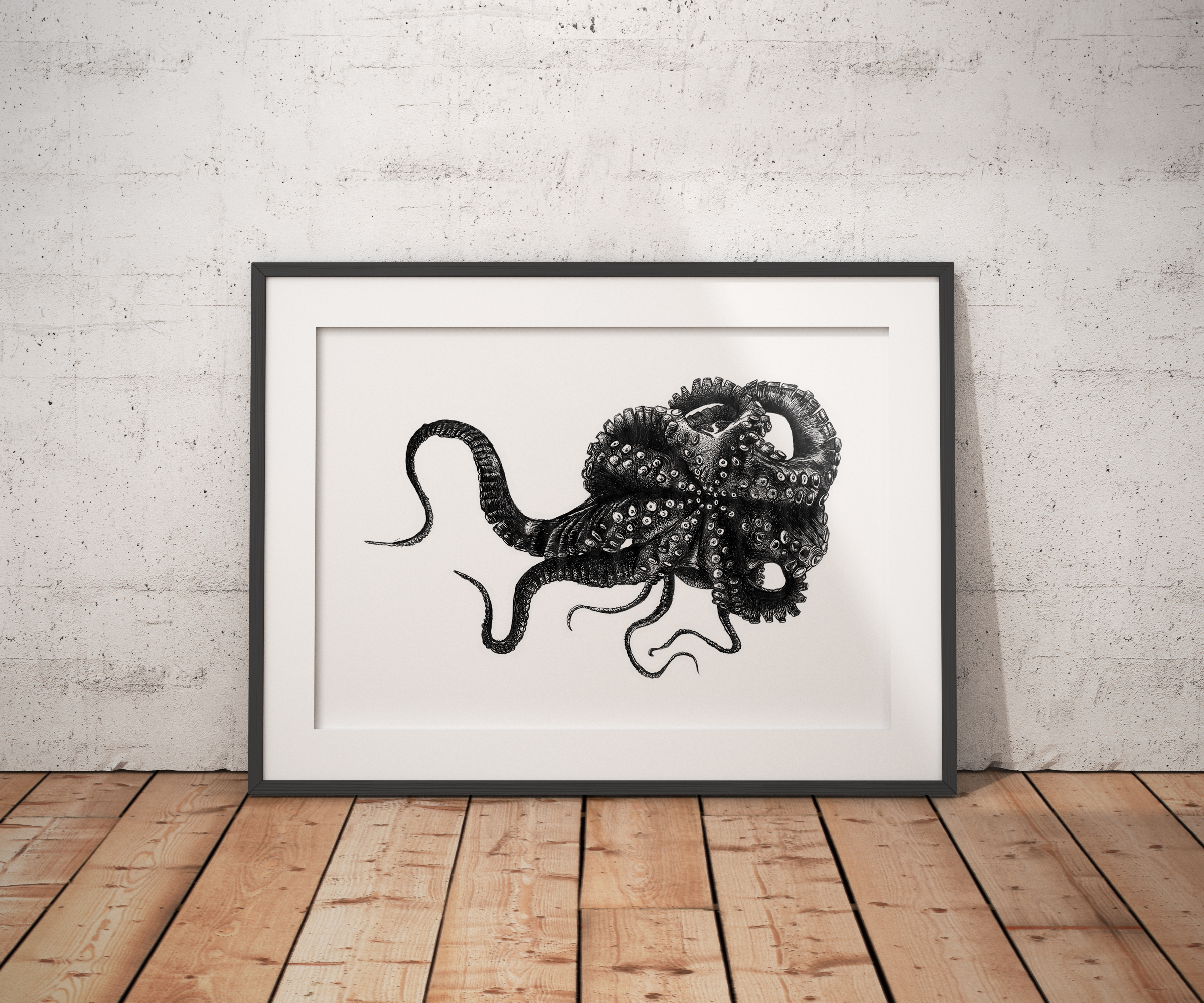 Octopus