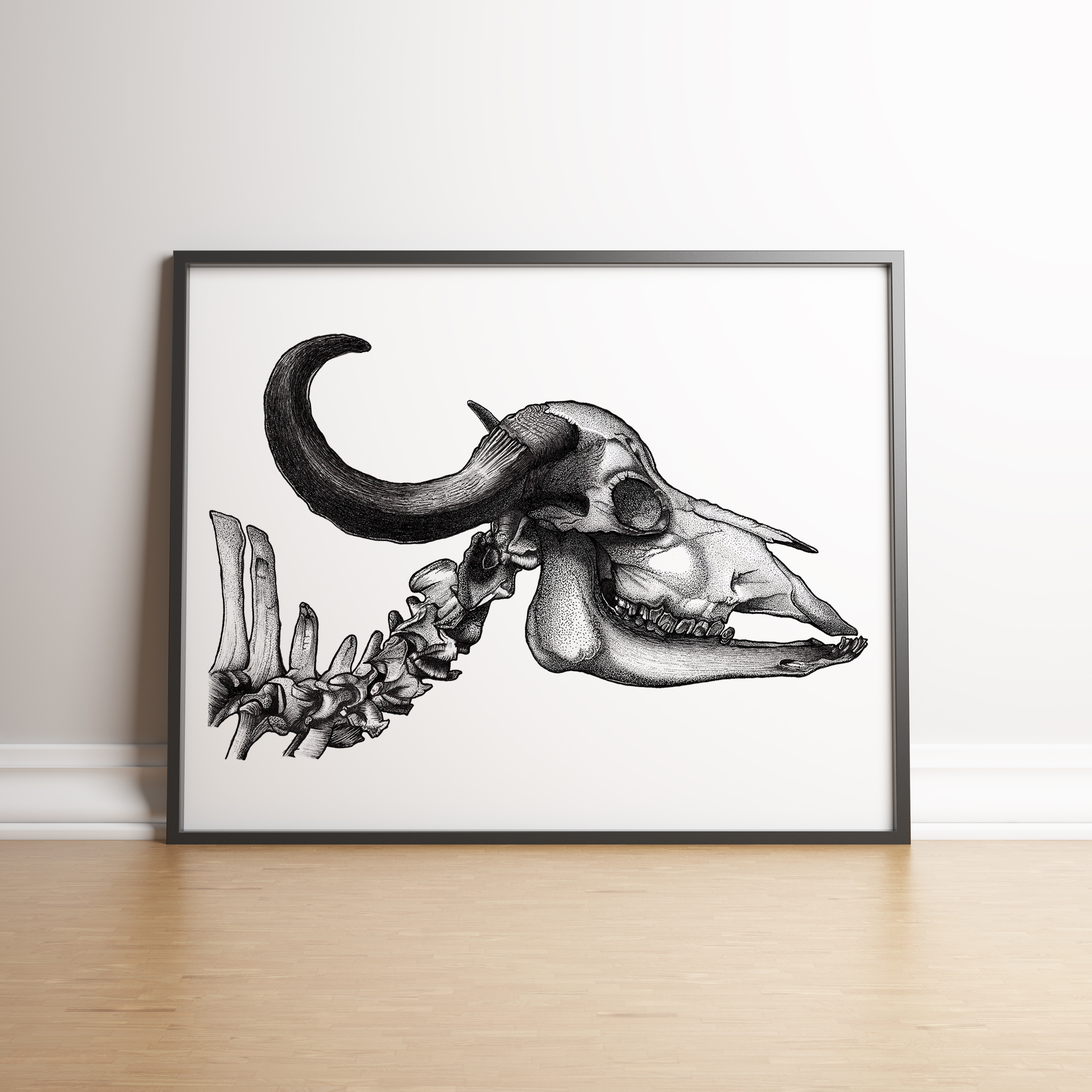 Buffalo Skull
