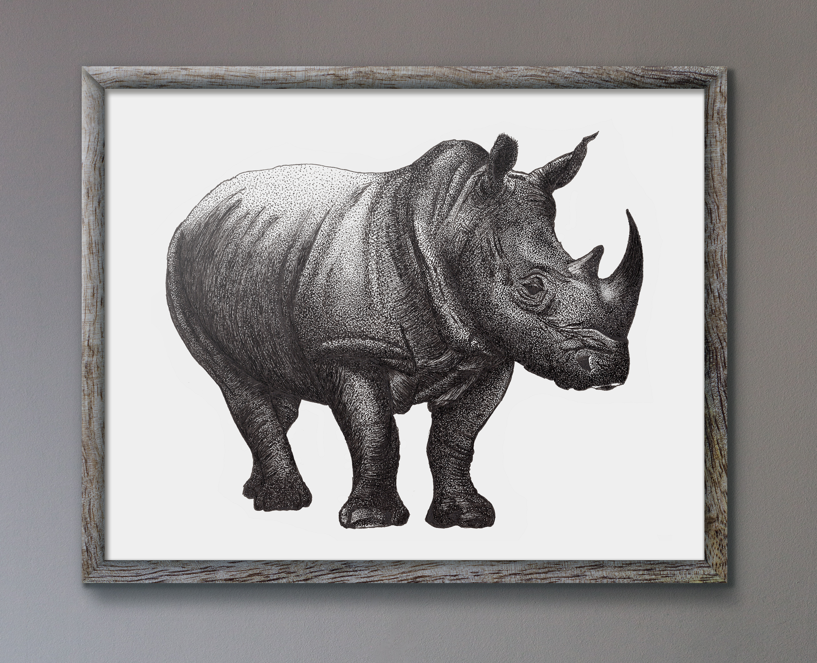 Rhino