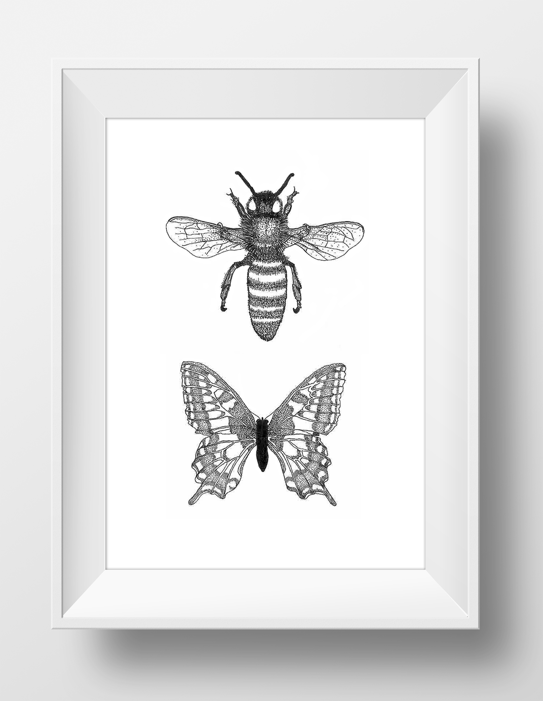 Bee and the Butterfly