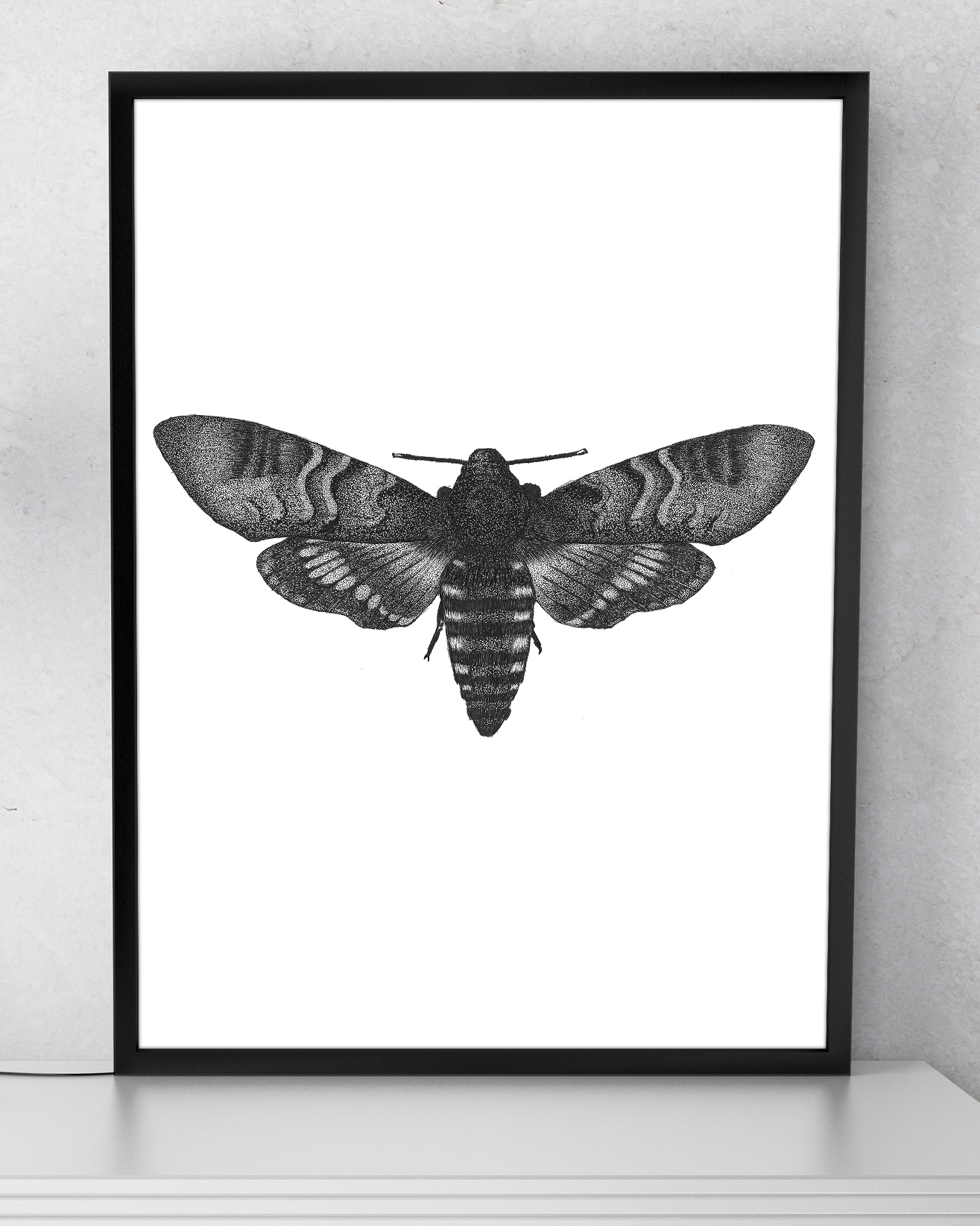 Moth2