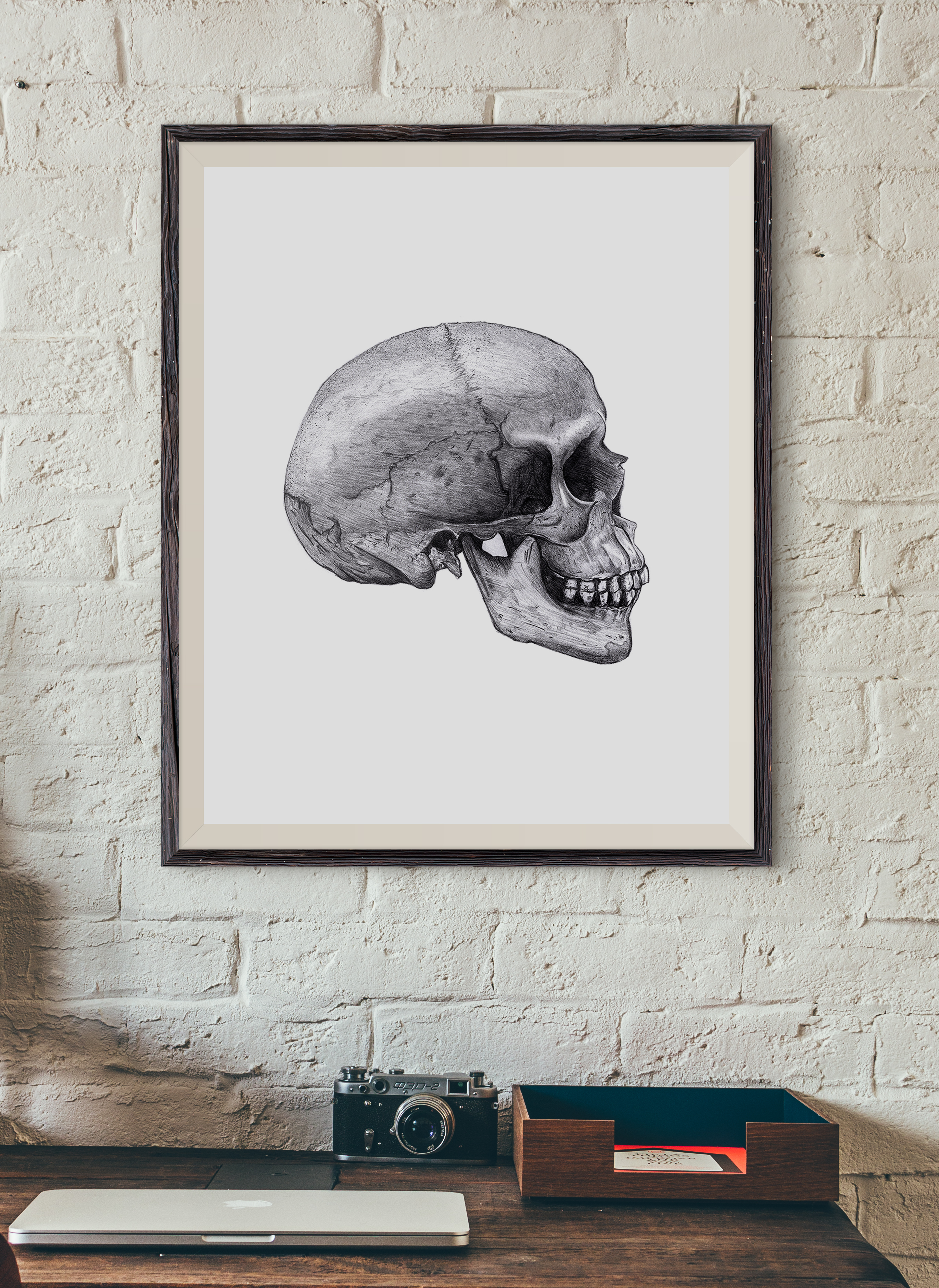 Skull
