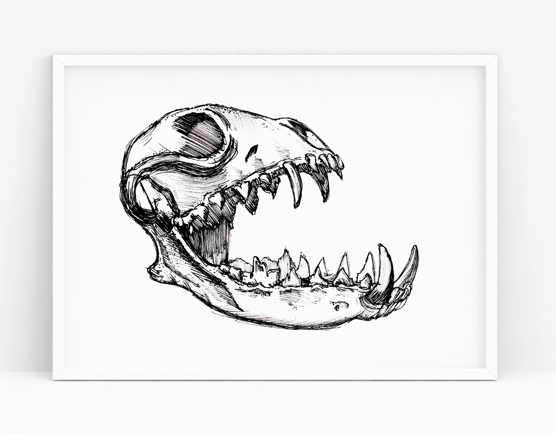 Dino Skull